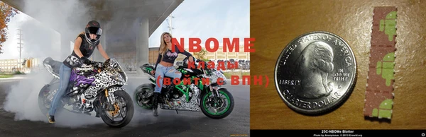 сатива Сосновый Бор